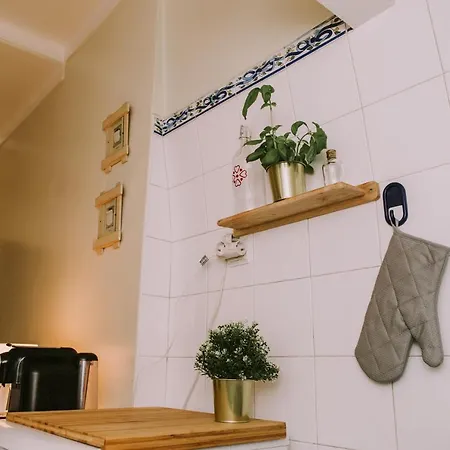 Typical Flat With Terrace City Center *